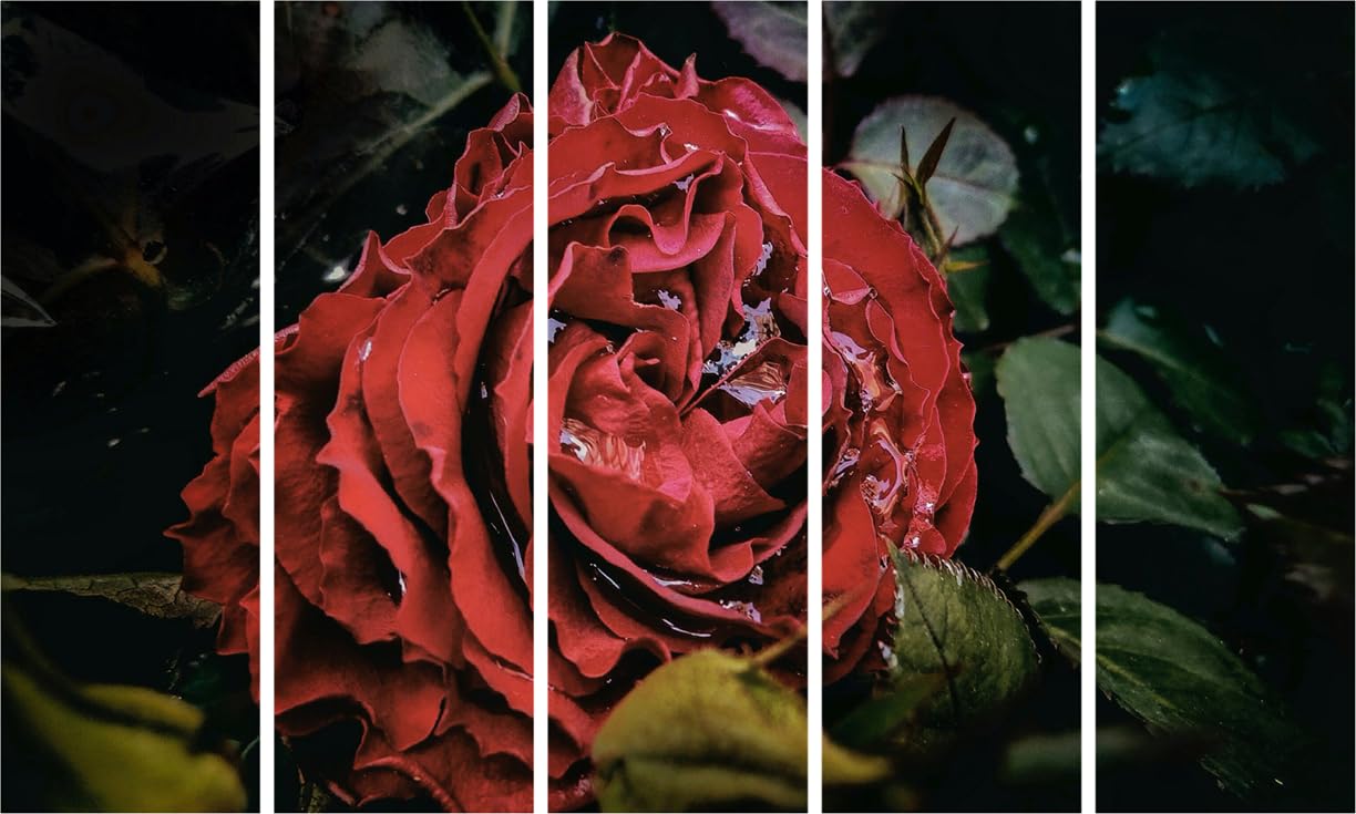 Rosy-Fresh Photography Wall Art Framed to Bloom - Red Rose Multi-Frame Magic (127x76cm)