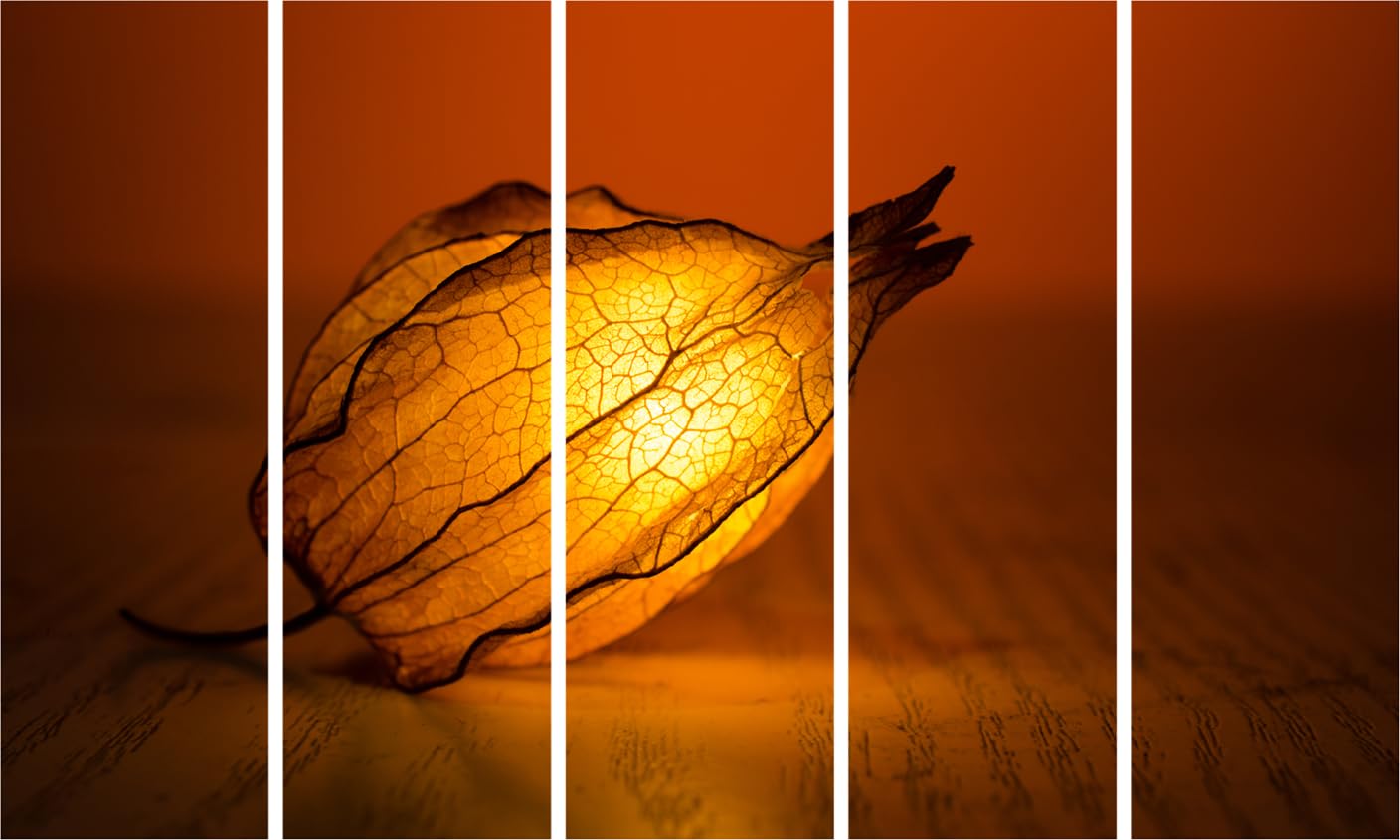 Bloom Boom: Light Up Your Space with This Multi-Frame Framed Photography Wall Art showcasing five vibrant floral frames