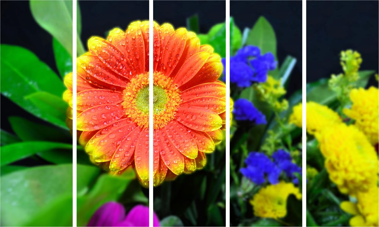 Flower-Power Photography-Framed Wall Art That'll Make Your Walls Bloom  5-Panel Splash-Proof Fiesta (127x76cm)