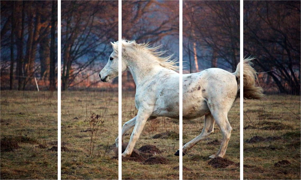 Gallop to Good Vibes: 5-Panel Running Horse Vastu Framed Wall Art That'll Energize Your Space (127x76cm)